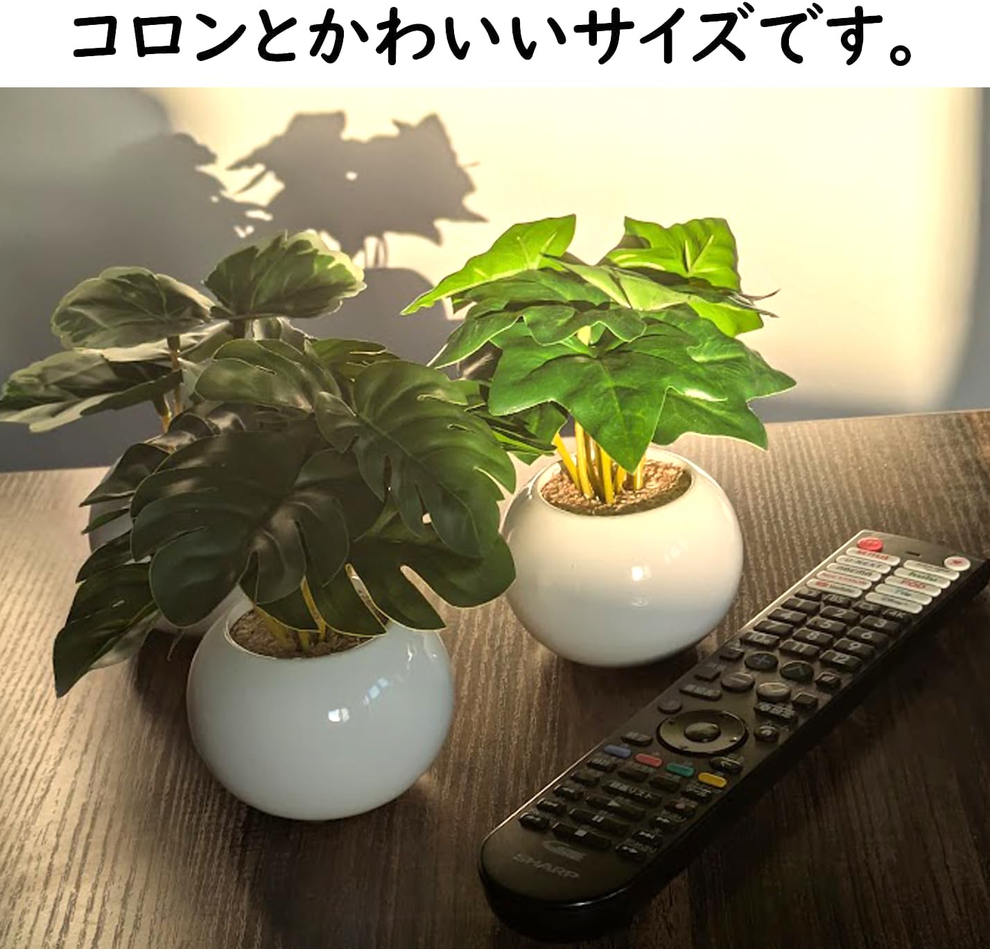 Amazon｜フェイクグリーン 観葉植物 光触媒 抗菌 消臭 卓上 ミニ